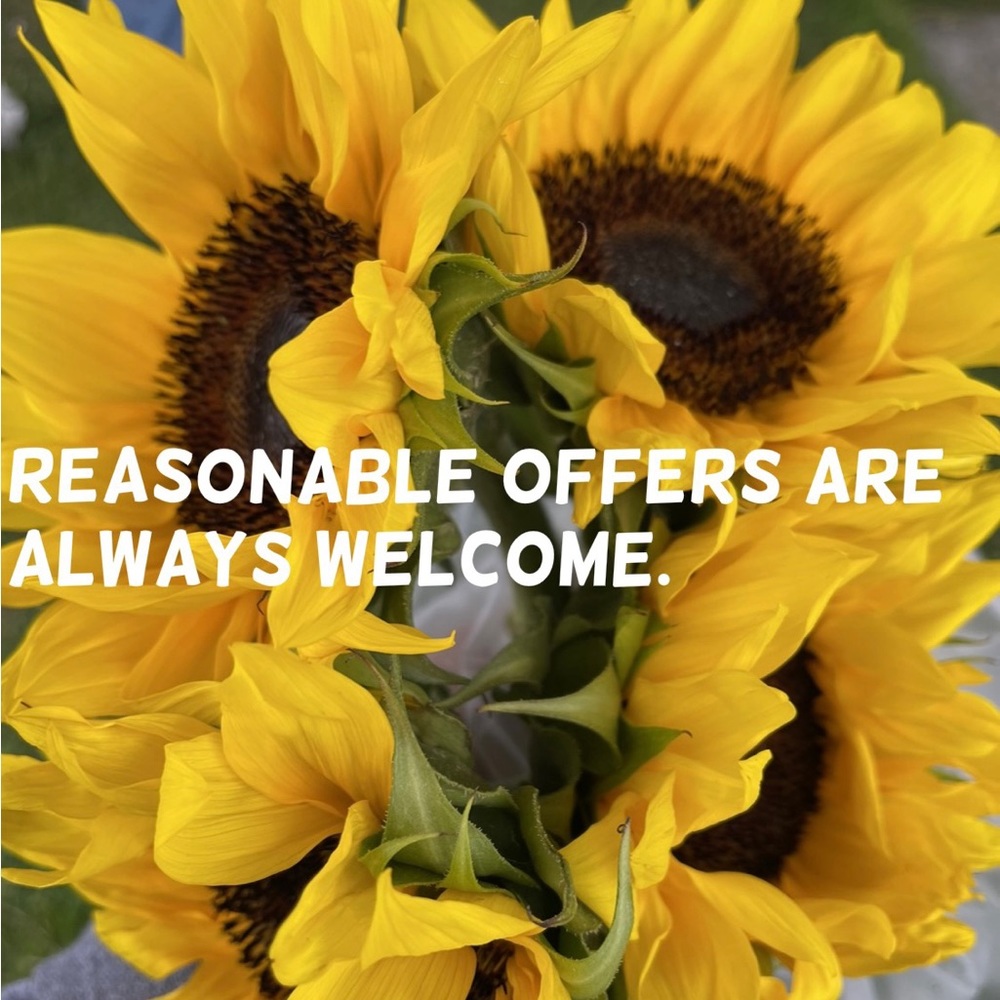 🌻No lowballs🌻